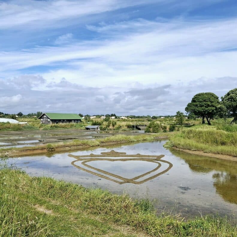 Visite Patrimoine aux Salines